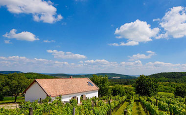 Káli Panorama Resort